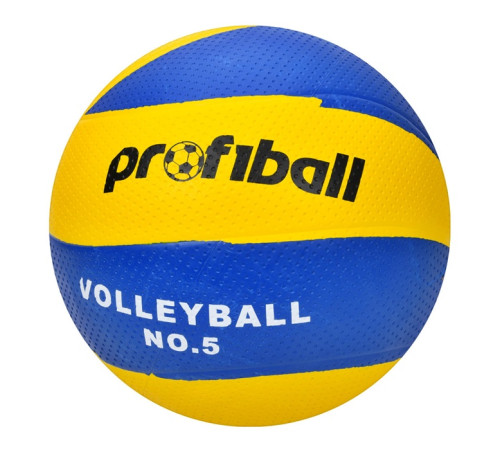 М'яч волейбольний