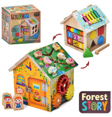 Дерев'яна іграшка Розвиваючий Центр / Бізіборд