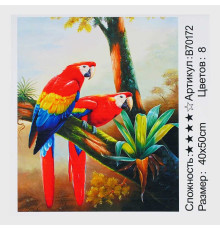Картина за номерами + Алмазна мозаїка B 70172 (30) "TK Group", 40х50 см, "Папуги", в коробці