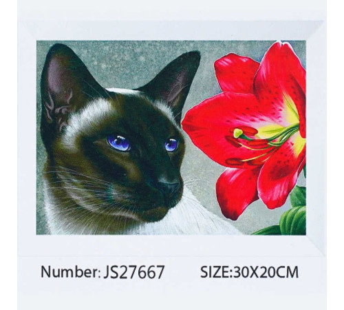 Алмазна мозаїка JS 27667 (50) "TK Group", 20х30 см, "Кіт з квіткою", в коробці