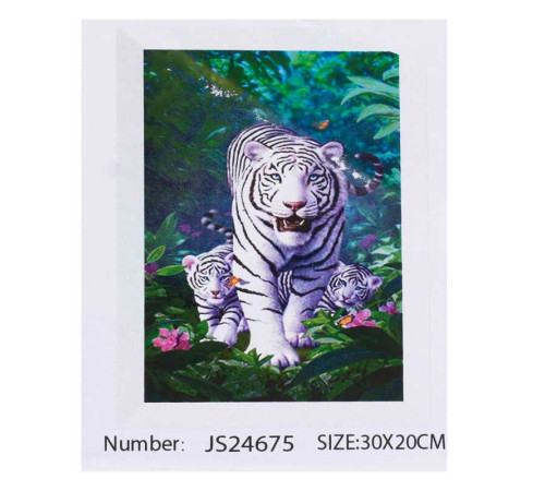 Алмазна мозаїка JS 24675 (50) "TK Group", 20х30см, в коробці