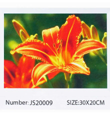 Алмазна мозаїка JS 20009 (50) "TK Group", "Квіти", 30х20 в коробці