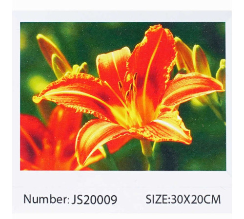 Алмазна мозаїка JS 20009 (50) "TK Group", "Квіти", 30х20 в коробці