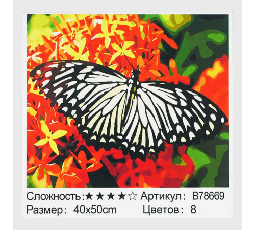 Картина за номерами + Алмазна мозаїка B 78669 (30) "TK Group", 40x50 см, “Метелик”, в коробці