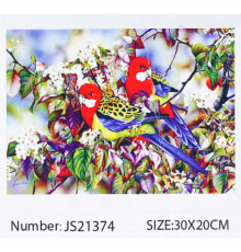 Алмазна мозаїка JS 21374 (50) "TK Group", "Птахи", 30х20 в коробці