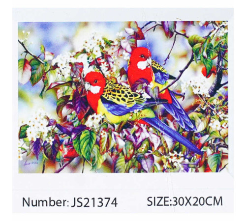 Алмазна мозаїка JS 21374 (50) "TK Group", "Птахи", 30х20 в коробці