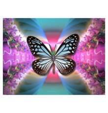 Алмазна мозаїка JS 24645 (50) "TK Group", "Метелики", 30х20 в коробці