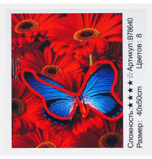 Картина за номерами + Алмазна мозаїка B 78640 (30) "TK Group", 40х50 см, “Метелик”, в коробці