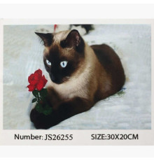 Алмазна мозаїка JS 26255 (50) "TK Group", 20х30 см, в коробці