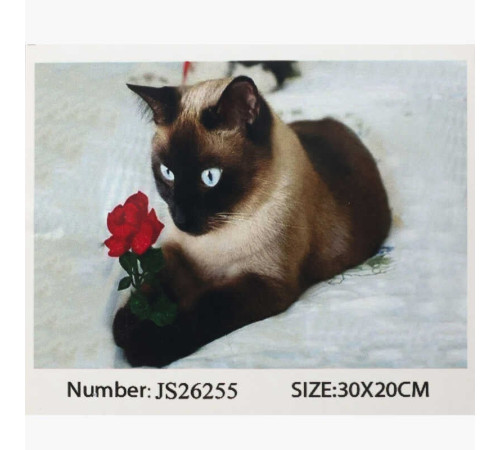 Алмазна мозаїка JS 26255 (50) "TK Group", 20х30 см, в коробці