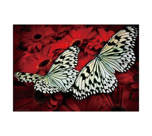 Алмазна мозаїка JS 20466 (50) "TK Group", "Метелики", 30х20 в коробці