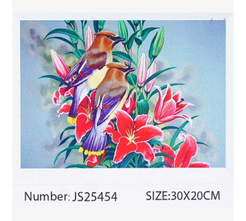 Алмазна мозаїка JS 25454 (50) "TK Group", "Птахи", 30х20 в коробці