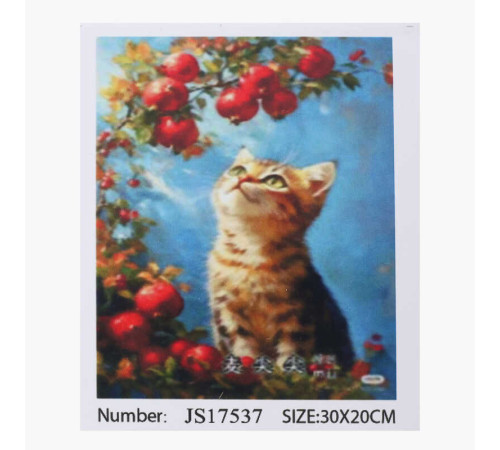 Алмазна мозаїка JS 17537 (50) "TK Group", 20х30 см, в коробці