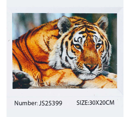 Алмазна мозаїка JS 25399 (50) "TK Group", 20х30 см, “Тигр”, в коробці