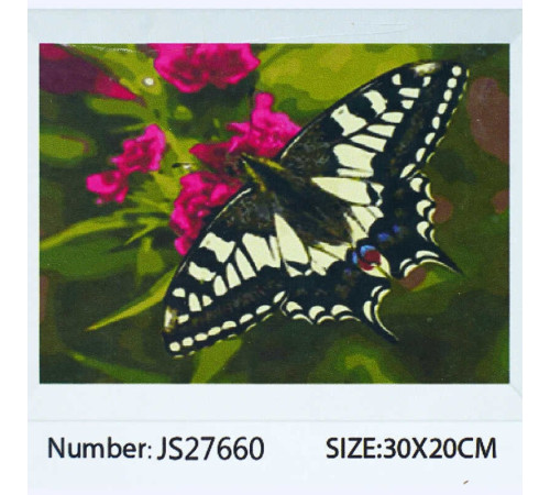 Алмазна мозаїка JS 27660 (50) "TK Group", "Метелик", 20х30 см, в коробці