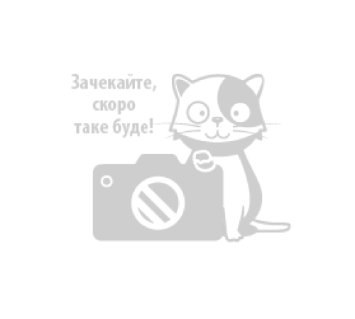 Дерев'яний геометричний сортер C 74414 (84) в коробці – в наличии! Купите сейчас у KAZKOVA