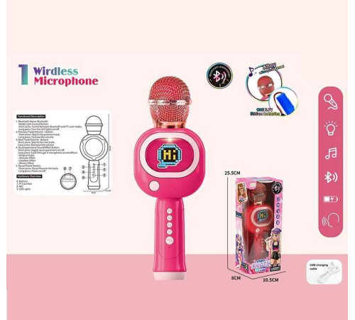 Мікрофон HY 850 E (96/2) підсвічування, 3 ефекти зміни голосу, регулювання гучності, Bluetooth, слот для TF-карти, в коробці