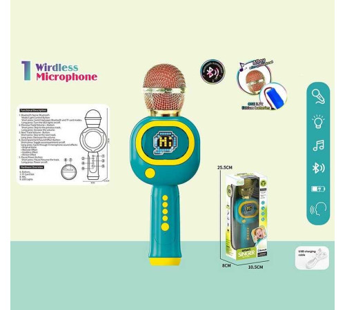 Мікрофон HY 865 E (96/2) підсвічування, 3 ефекти зміни голосу, регулювання гучності, Bluetooth, слот для TF-карти, в коробці