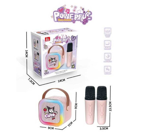 Караоке K 12-8 (48/2) 2 мікрофони, вбудований акумулятор, Bluetooth, слот для TF-Card, роз’єм type-С, AUX, зміна голосу, мінус, регулювання гучності та підсвічування, в коробці – в наличии! Купите сейчас у KAZKOVA