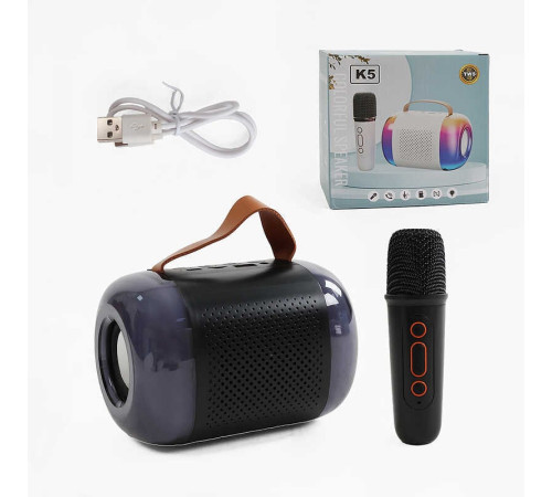 Караоке C 72105 (40) 1 мікрофон, підсвічування, слот для TF Card, bluetooth, USB-type-c кабель, AUX-роз’єм, колонка, зміна голосу, в коробці – в наличии! Купите сейчас у KAZKOVA