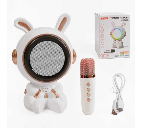 Караоке GMJ 9821 (36) 1 мікрофон, режими підсвічування, вбудований акумулятор, Bluetooth, слот для TF Card, USB-type-c кабель, USB-роз’єм, AUX-роз’єм, колонка з підсвічуванням, зміна голосу, в коробці