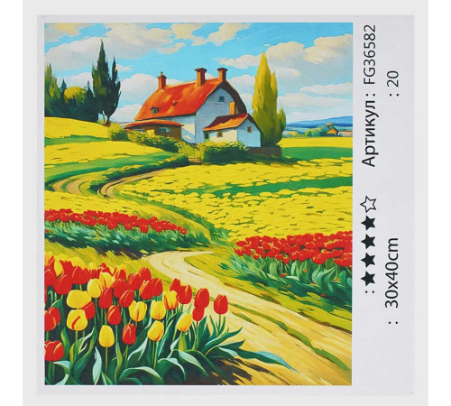 гр Картина за номерами FG 36582 (30) "4FUN Game Club", 30х40 см, в коробці