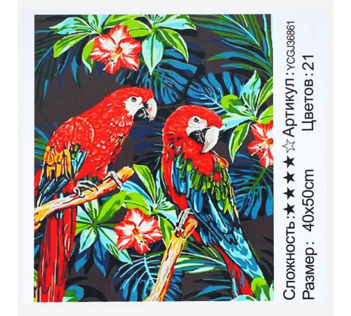 Картина за номерами YCGJ 36861 (30) "TK Group", 40х50 см, “Папуги”, в коробці