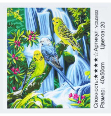Картина за номерами YCGJ 36922 (30) "TK Group", 40х50 см, "Папуги", в коробці