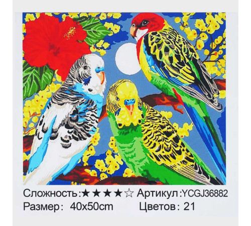 Картина за номерами YCGJ 36882 (30) "TK Group", 40х50 см, “Веселі папужки”, в коробці