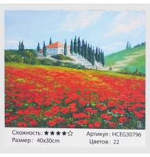 Картина за номерами HCEG 30796 (30) "TK Group", "Макове поле", 40*30см, в коробці