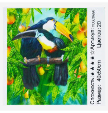 Картина за номерами YCGJ 36926 (30) "TK Group", 40х50 см, "Тукани", в коробці