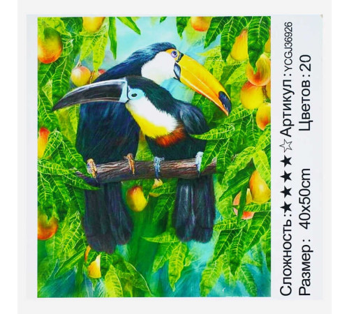 Картина за номерами YCGJ 36926 (30) "TK Group", 40х50 см, "Тукани", в коробці