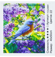 Картина за номерами YCGJ 36891 (30) "TK Group", 40х50 см, “Пташка”, в коробці