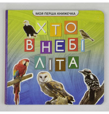 гр Моя перша книжка "Хто у небі літає" VR06041708 (20) 10 кольорових картинок, розмір 105х100мм 9789669754493 "Jumbi"