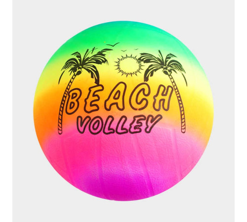 М'яч гумовий M 48541 (800) 1 вид, вага 70 грамів, діаметр 16 см