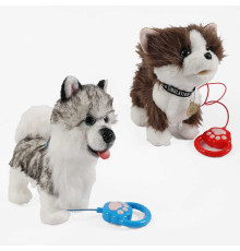 Улюбленець C 73702 (60) 2 види, "Собачка", на повідці, звук, ходить, облизує, музика, запис та відтворення голосу, сенсорний датчик, в пакеті