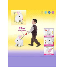 Улюбленець 924-3 (48/2) ходить, на повідці, у пакеті