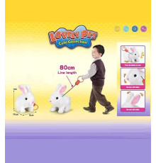 Улюбленець 925-31 (48/2) ходить, на повідці, у пакеті