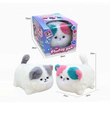 Котик W 029 (24/2) 2 види, в коробці