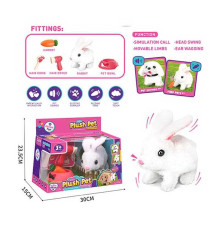 Улюбленець LK 006 A (36/2) ходить, аксесуари, в коробці