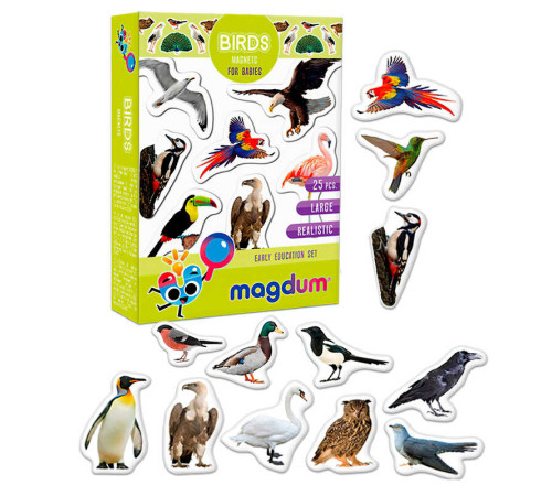гр Набір магнітів "Birds. Рhoto" ML4031-30 EN (70) "Magdum", англ. мова, в коробці – в наличии! Купите сейчас у KAZKOVA