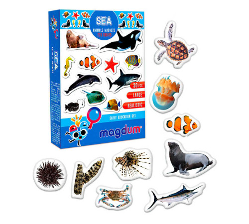 гр Набір магнітів "Sea. Рhoto" ML4031-28 EN (70) "Magdum", англ. мова, в коробці – в наличии! Купите сейчас у KAZKOVA