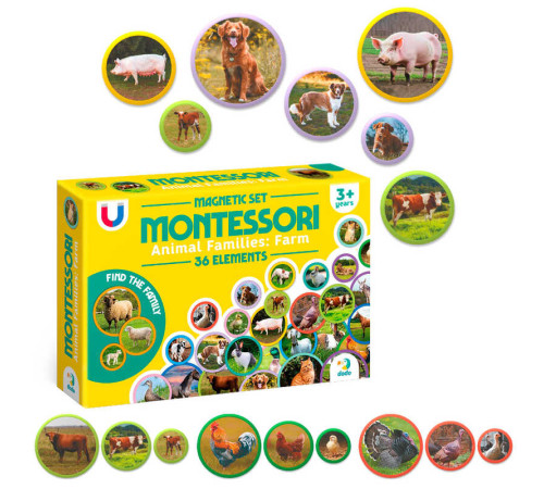 гр Магнітний набір Монтесорі «Родини тварин: ферма» 200271 (32) "Dodo" – в наличии! Купите сейчас у KAZKOVA