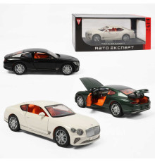 Машинка RS-93415 (24) "Авто Експерт", 3 кольори, металопластик, 1:24, звук, світло, інерція, відчиняються двері, багажник та капот, в коробці, ВИДАЄТЬСЯ ТІЛЬКИ МІКС ВИДІВ