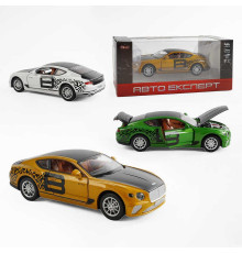 Машина TX 10355 (48/2) "Авто Експерт", 3 кольори, металопластик, масштаб 1:22, світло, звук, інерція, відчиняються двері, багажник та капот, в коробці, ВИДАЄТЬСЯ ТІЛЬКИ МІКС ВИДІВ