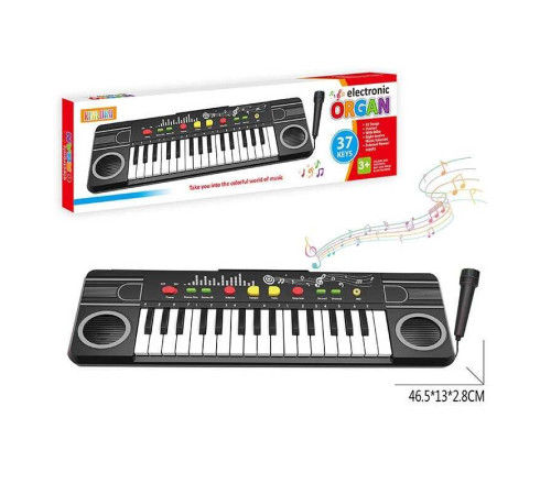 Синтезатор R 688 (48) в коробці