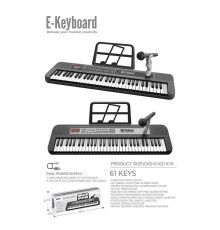 Піаніно 328-73 (12) мікрофон, караоке, 61 клавіша, працює від мережі або батарейок, звук, підсвічування, 3 AUX-роз'єми, AUX-кабель, USB-type-c кабель, регулювання гучності, музика, функція запису, в коробці