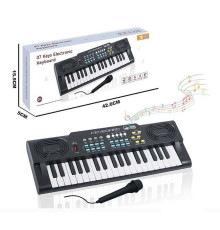 Синтезатор R 669 (36) 37 клавіш, мікрофон, працює від мережі або батарейок, звуки тварин та музичних інструментів, мелодії, регулювання гучності, функція запису, в коробці
