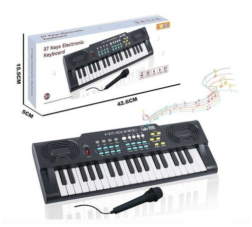 Синтезатор R 669 (36) 37 клавіш, мікрофон, працює від мережі або батарейок, звуки тварин та музичних інструментів, мелодії, регулювання гучності, функція запису, в коробці