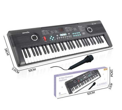Синтезатор R 673 (20) 61 клавіша, USB-AUX кабель, мікрофон, працює від мережі або батарейок, звуки музичних інструментів, мелодії, регулювання гучності, функція запису, в коробці